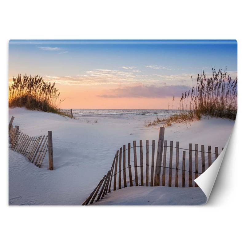 Fototapete Strand an der Ostsee 100x70 beige von Joom DACH