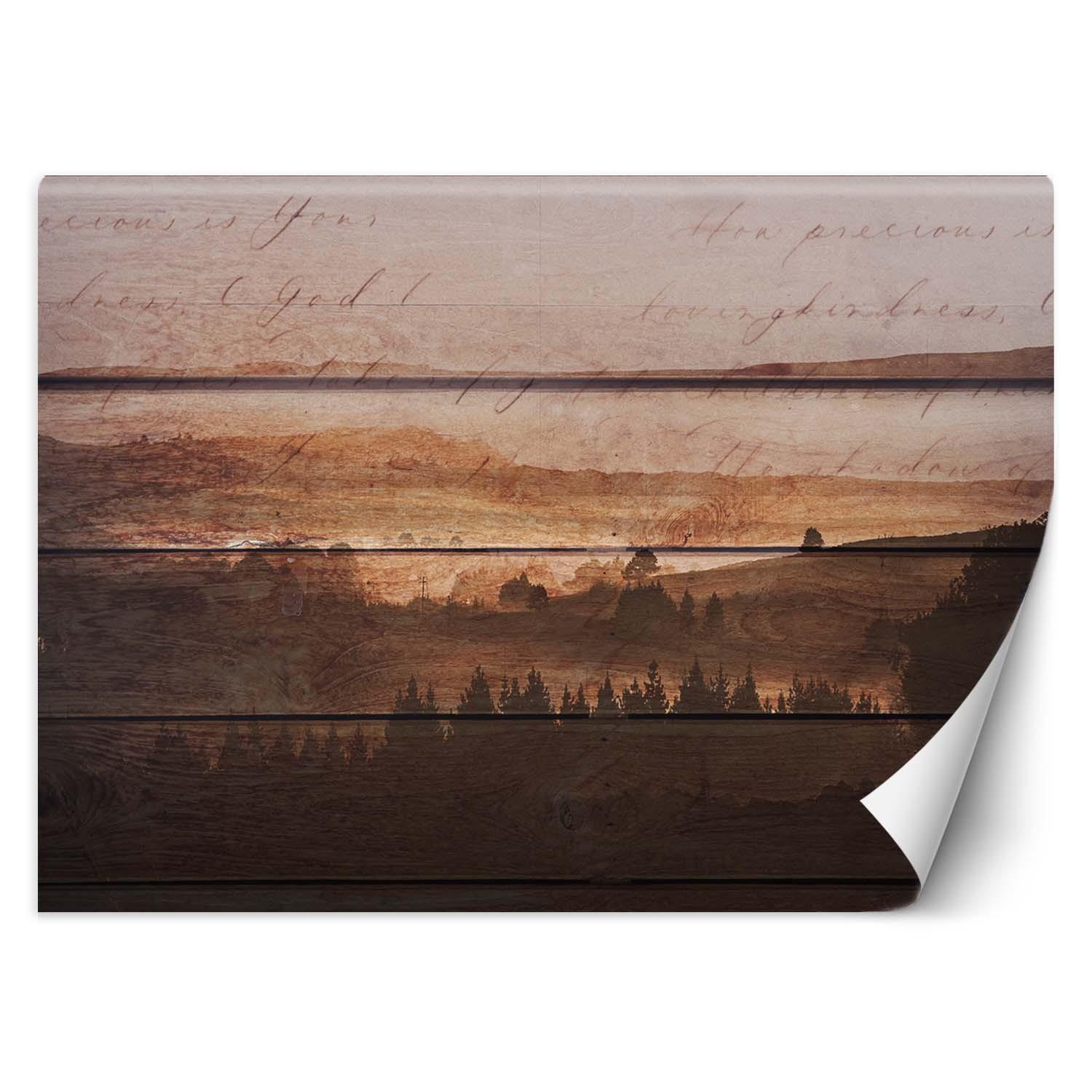 Fototapete Wald auf alten Brettern 100x70 braun von Joom DACH