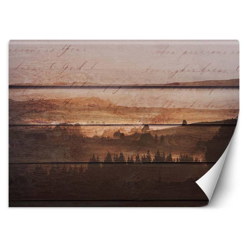 Fototapete Wald auf alten Brettern 100x70 braun von Joom DACH