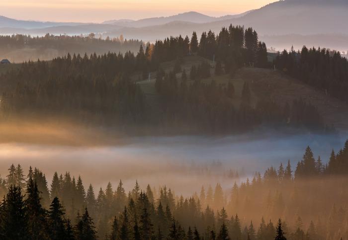 Fototapete Wald im Nebel Waschbares Vlies 416x254 Fototapete Wald im Nebel Waschbares Vlies 416x254 von Joom DACH