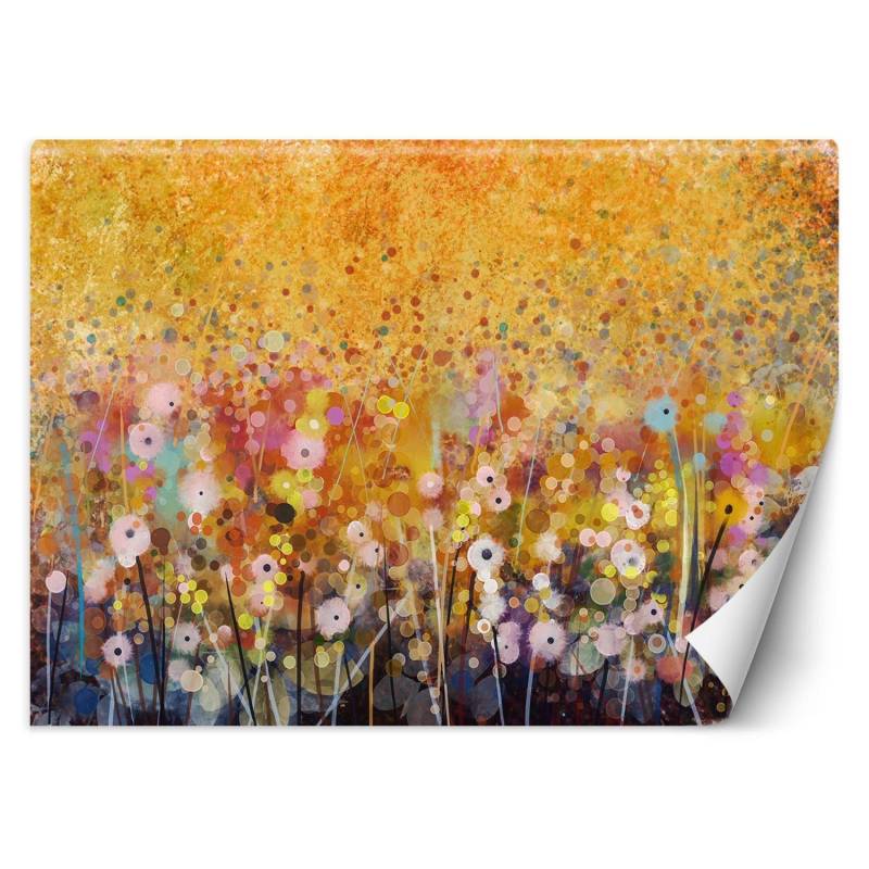 Fototapete Wiese mit Blumen bunte Abstraktion 100x70 orange von Joom DACH