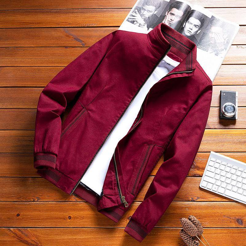 Frühling und Herbst Baumwolljacke Herren mittleren Alters dünn Business Casual Dad Wear Jugend koreanischen Mantel XXL von Joom DACH