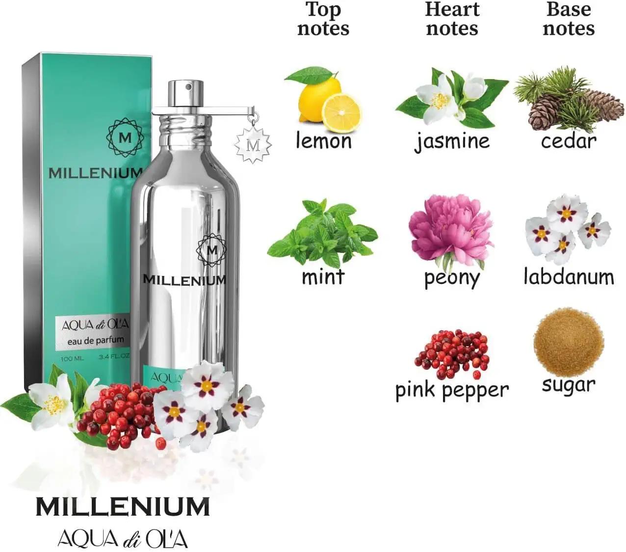 GABRELIA Eau de Parfum für Damen & Die Millenium-Serie mit 10 Duftarten zur Auswahl 100 ML silber von Joom DACH