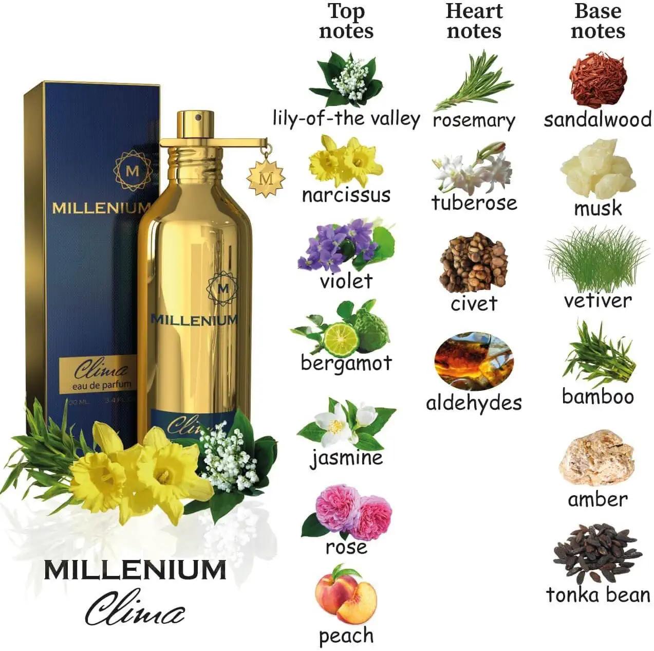 GABRELIA Eau de Parfum für Damen & Die Millenium-Serie mit 10 Duftarten zur Auswahl 100 ml gold GABRELIA Eau de Parfum für Damen & Die Millenium-Serie mit 10 Duftarten zur Auswahl 100 ml gold von Joom DACH