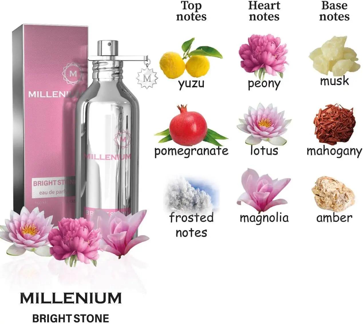 GABRELIA Eau de Parfum für Damen & Die Millenium-Serie mit 10 Duftarten zur Auswahl 100 ml silber GABRELIA Eau de Parfum für Damen & Die Millenium-Serie mit 10 Duftarten zur Auswahl 100 ml silber von Joom DACH