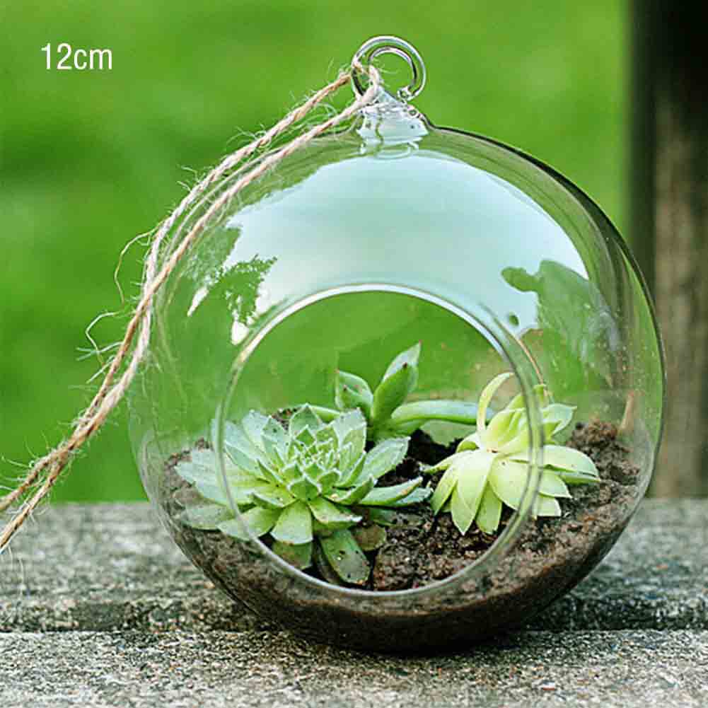Garden Home Glaskugel zum Aufhängen, Teelichter, Terrarium C von Joom DACH