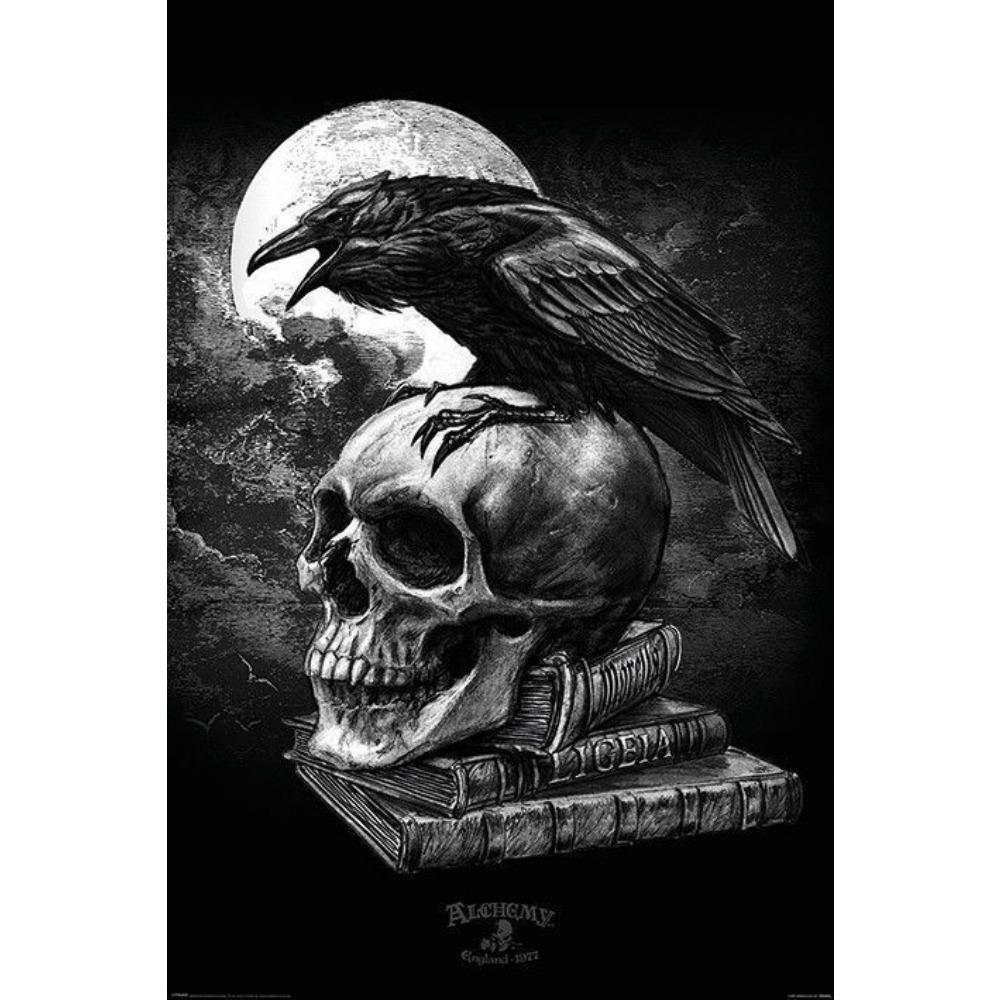 Gothic Horror Rabe Krähe Poster Drucke für Wohnzimmer Wohnkultur Dark Academia Death Messenger Vogel Leinwand Malerei Wand Kunst 50*80cm No Frame von Joom DACH