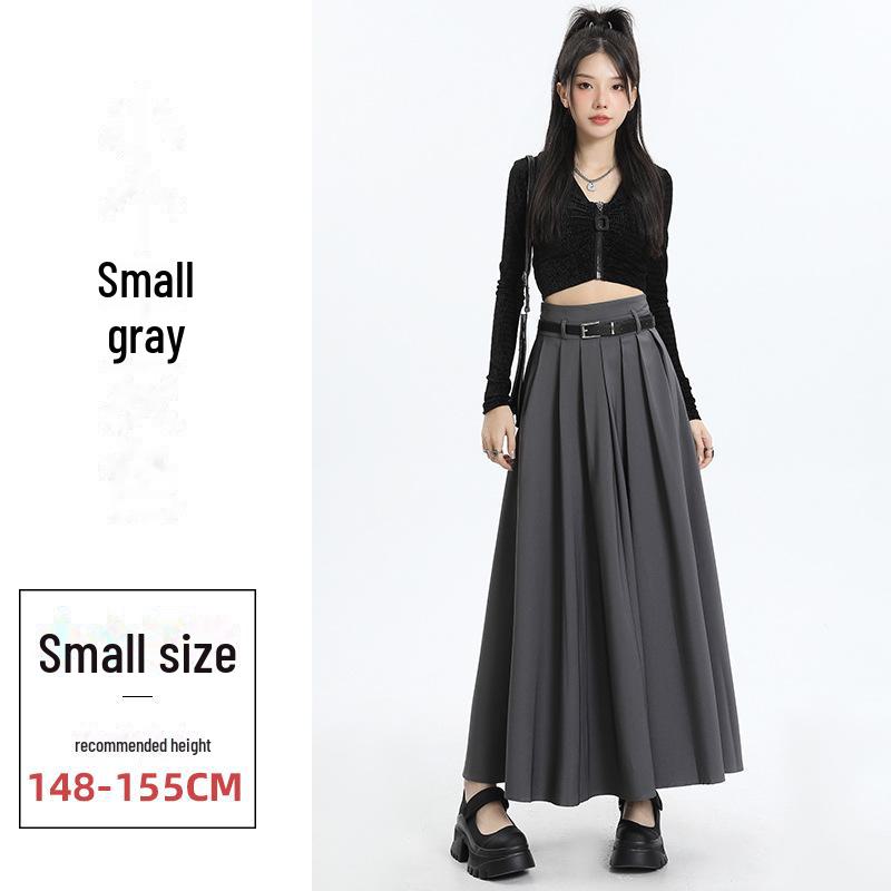 Grauer Faltenrock in A-Linie für Damen im Herbst 2023 – Hohe Taille, schmale Passform, lange Länge S von Joom DACH