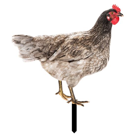Große lebendige umweltfreundliche Hahn Dekoration Dekor Garten Statue Huhn für Hof B von Joom DACH