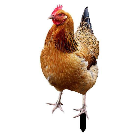 Große lebendige umweltfreundliche Hahn Dekoration Dekor Garten Statue Huhn für Hof K von Joom DACH