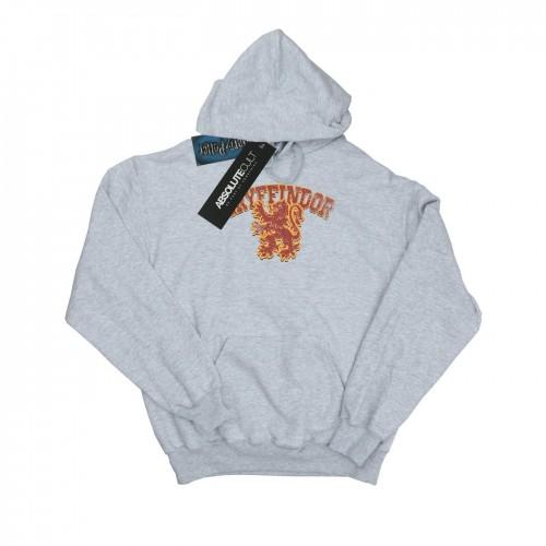 Harry Potter Jungen Gryffindor Sport Emblem Kapuzenpullover 12-13 grau von Joom DACH