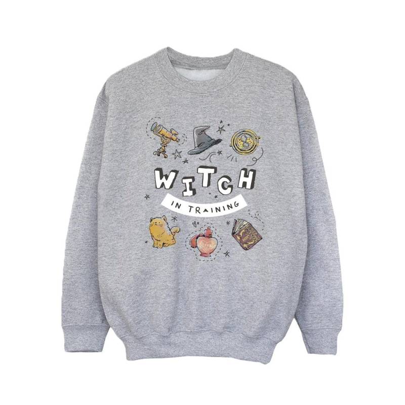 Harry Potter Mädchen-Hexe im Trainings-Sweatshirt 12-13 grau von Joom DACH