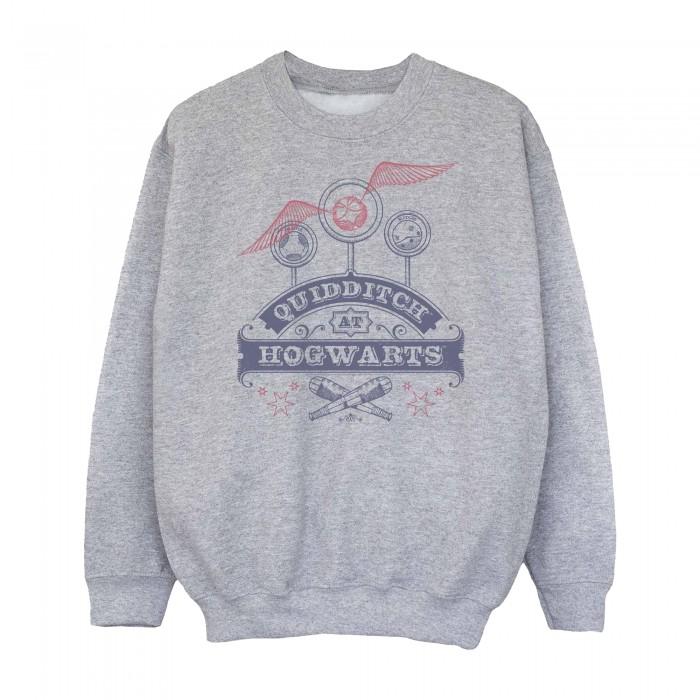 Harry Potter Mädchen Quidditch in Hogwarts Sweatshirt 9-11 Years grau von Joom DACH