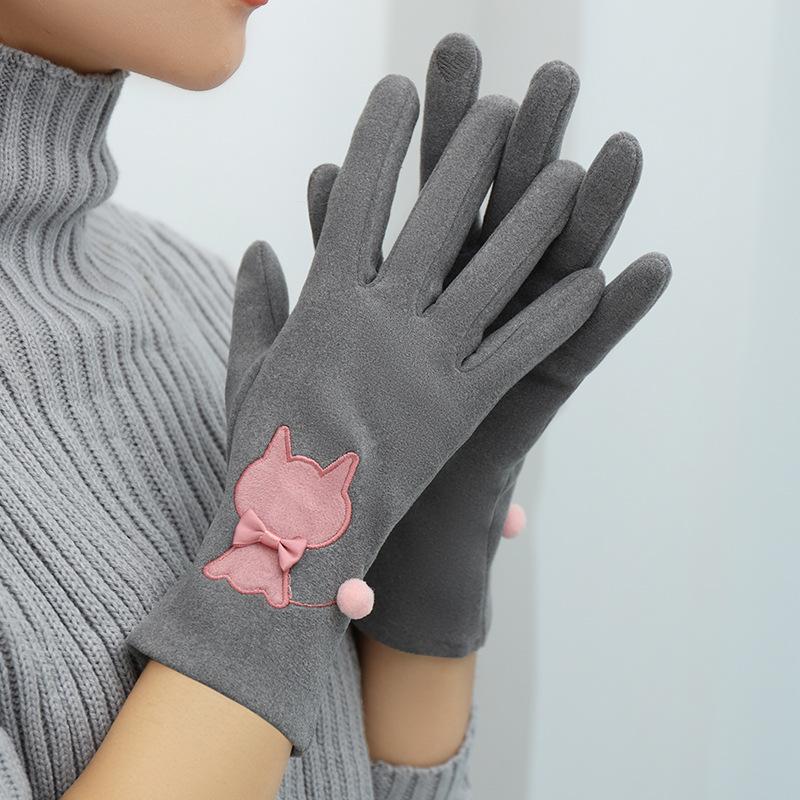 Herbst Winter Warme Handschuhe für Frauen Fleece Reithandschuhe Kältebeständige Handschuhe Student Handschuhe Touchscreen Handschuhe grau von Joom DACH