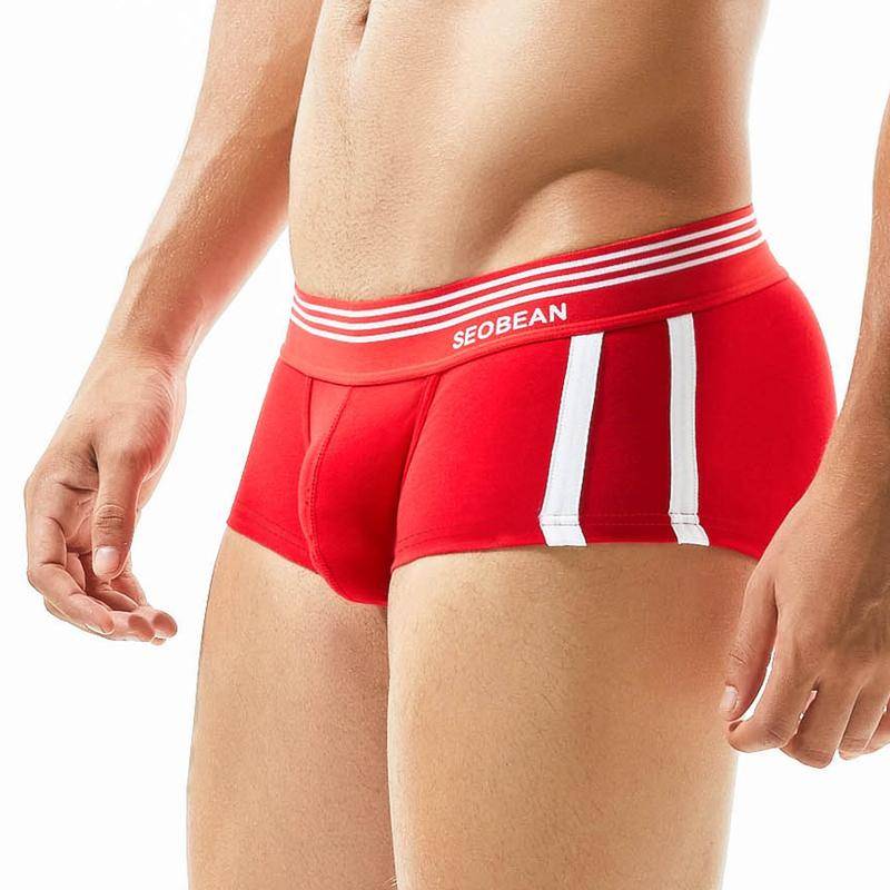 Herren Slips Herren Unterwäsche Boxershorts Sportunterwäsche Niedrige Taille Bequem Herren Boxershorts Unterhosen L von Joom DACH