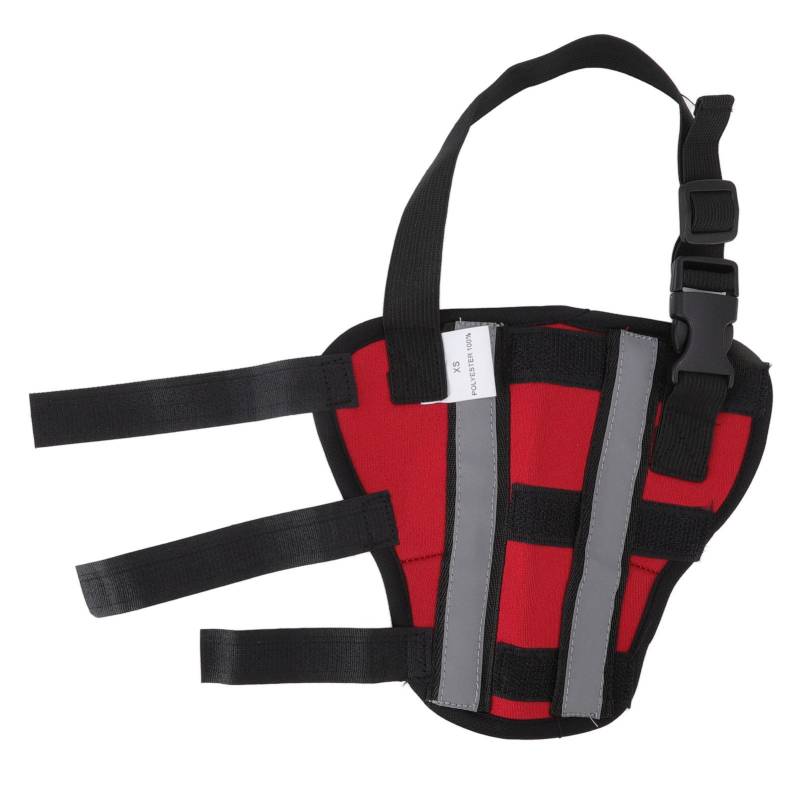 Hinterbeinorthese für Hunde, atmungsaktiv, bequem, stabile Unterstützung, Knieschützer für Haustiere zur Erholung nach Operationen, Größe XS XS Hinterbeinorthese für Hunde, atmungsaktiv, bequem, stabile Unterstützung, Knieschützer für Haustiere zur Erholung nach Operationen, Größe XS XS von Joom DACH