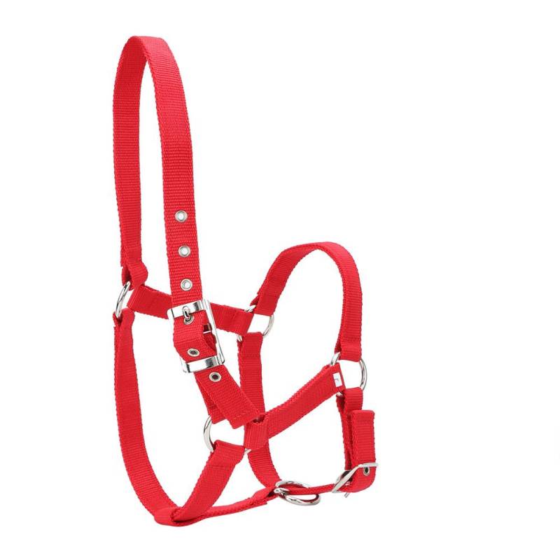 Hochdichtes 6 mm verdicktes Gurtband Pferdezäumung Kontrollhalfter Reitzubehör Rote Farbe von Joom DACH