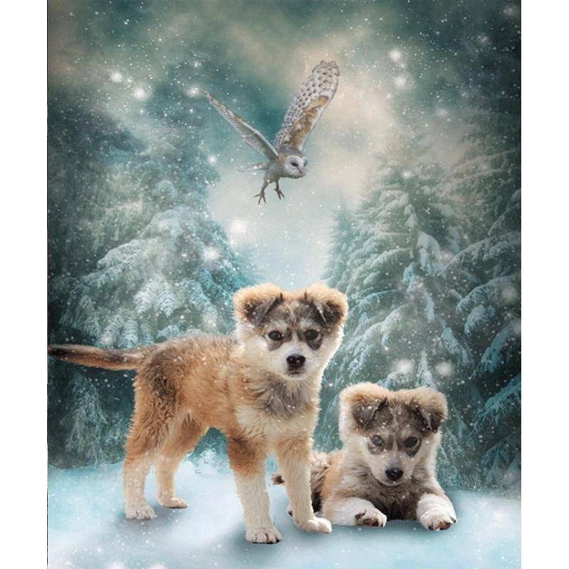 Home Decor DIY 5D Diamant Stickerei „Zwei Hunde“ Kreuzstich Set Abstraktes Ölgemälde Handwerk 20X30CM von Joom DACH