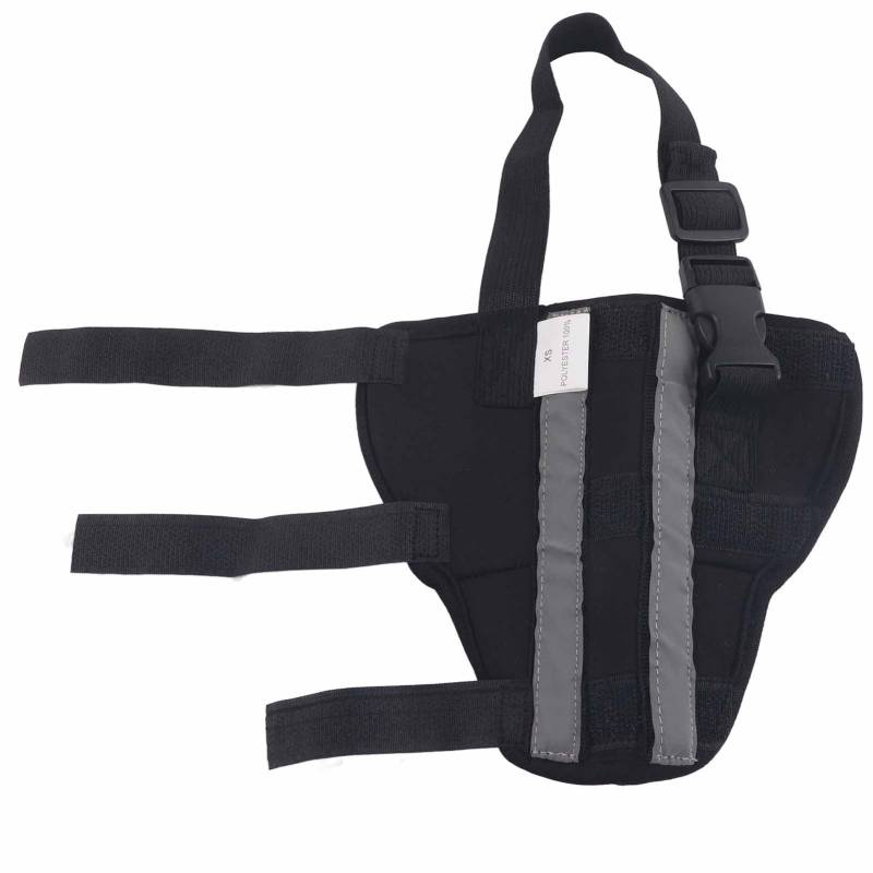 Hunde-Hinterbein-Orthese, stabile Unterstützung, Knieschützer, Welpen-Hinterbeinschutz für die Genesung nach Operationen, XS XS Hunde-Hinterbein-Orthese, stabile Unterstützung, Knieschützer, Welpen-Hinterbeinschutz für die Genesung nach Operationen, XS XS von Joom DACH