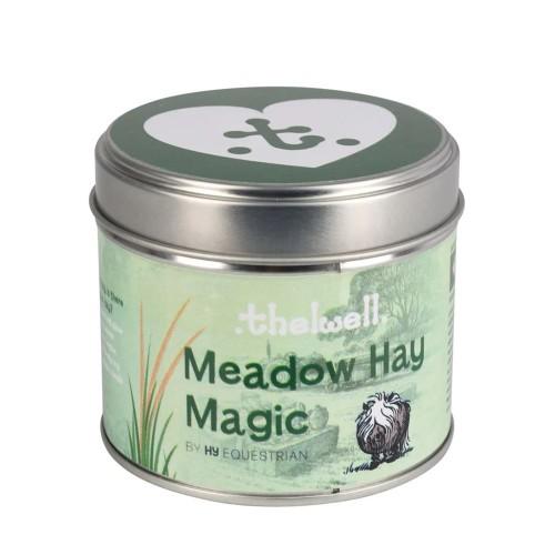Hy Meadow Hay Magic Duftkerze 250ml grün von Joom DACH
