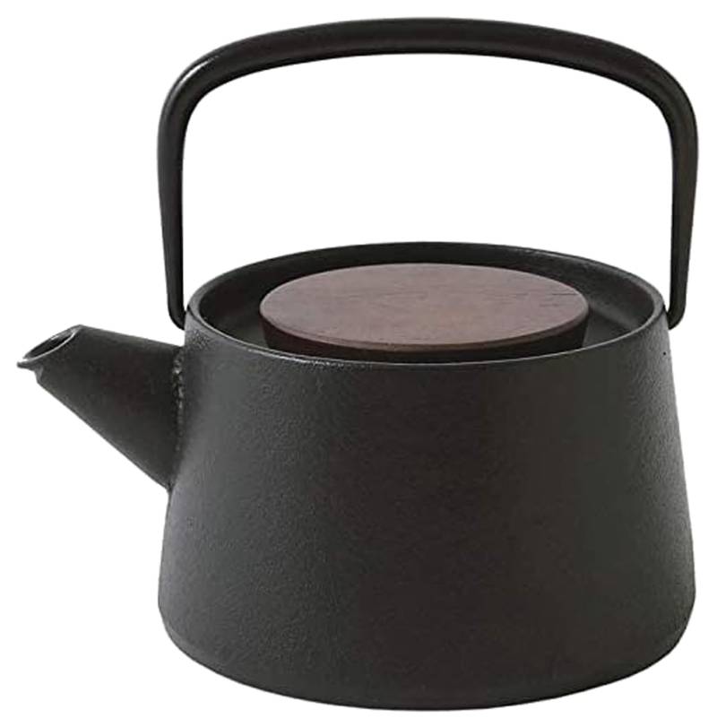 Ikenaga Iron Works Teekanne Nanbu Eisenwaren Made in Japan Tetu 0,56L von Joom DACH