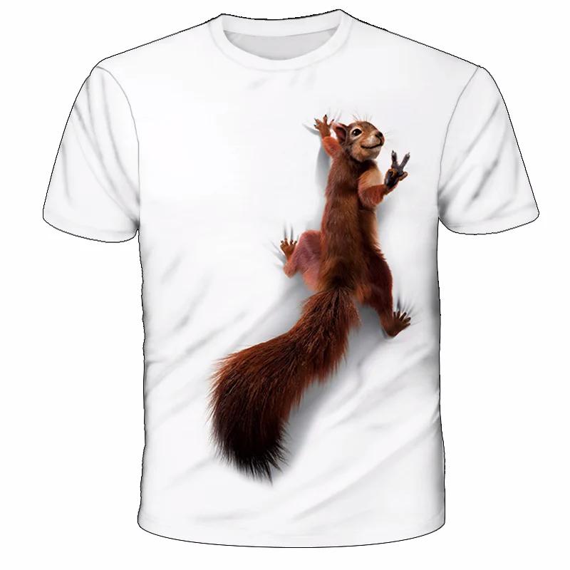 Jungen Mädchen Lustiges Eichhörnchen 3D Bedrucktes T-Shirt Jungen Mädchen Mode O-Ausschnitt Kurzarm T-Shirts Harajuku Cooles T-Shirt Tops Kinder 130 Jungen Mädchen Lustiges Eichhörnchen 3D Bedrucktes T-Shirt Jungen Mädchen Mode O-Ausschnitt Kurzarm T-Shirts Harajuku Cooles T-Shirt Tops Kinder 130 von Joom DACH
