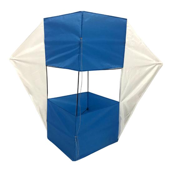 Kinder Erwachsene 3D Kite Einfach zu Fliegen Heavy Duty Outdoor Strand Park blau/weiß von Joom DACH