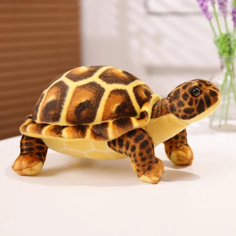 Kinderspielzeug, süßes Baby, supergrüne Simulation, ausgestopfte Schildkröte, realistische Meeresschildkröte, Tierplüsch, Babyspielzeug, Geschenk, Heimdekoration 30cm von Joom DACH