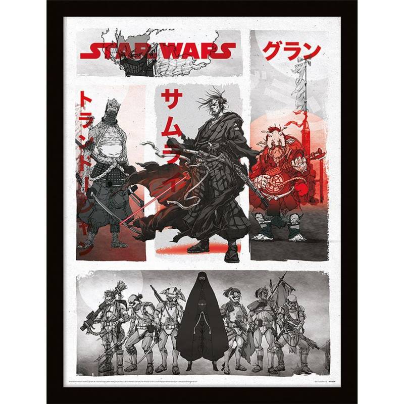 Krieg der Sterne: Visions Washi-Charaktere gerahmtes Poster 40cm x weiß/schwarz von Joom DACH