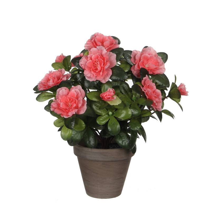 Künstliche Pfirsichazalee im grauen Topf ø11,5x27cm von Joom DACH