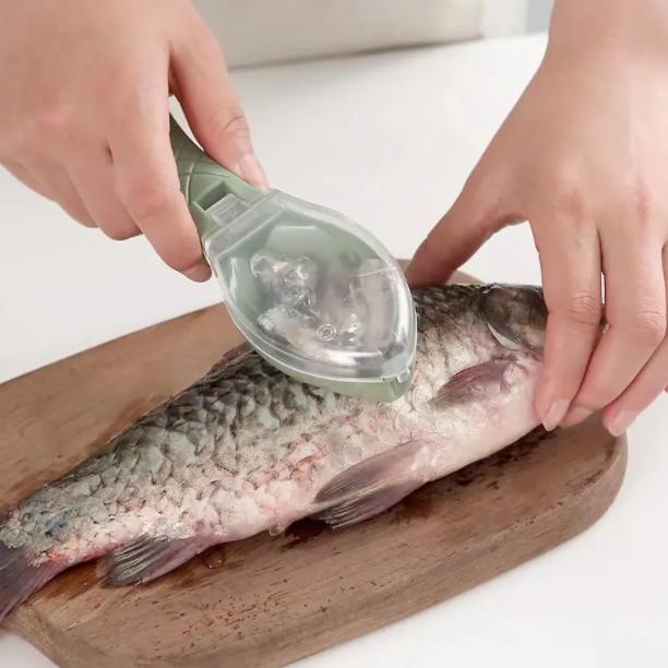 Kunststoff Fischschuppen Schaber Fisch Haut Pinsel Schaben Angeln Schuppen Pinsel Reiben Entfernen Fisch Messer Reinigung Schäler Scaler Schaber 1PC grün von Joom DACH