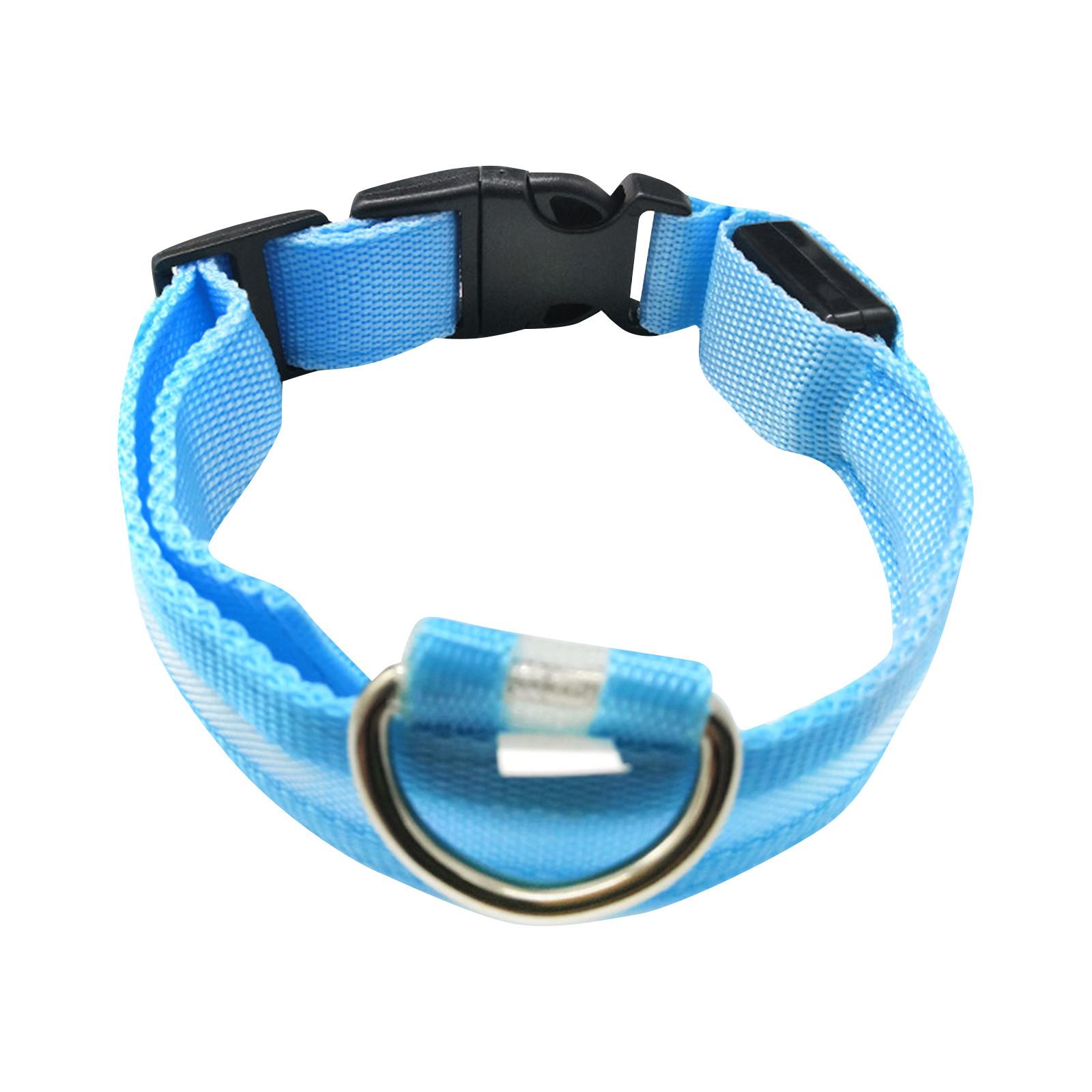 LED-Hundehalsband, über USB wiederaufladbar, Sicherheitslicht, leuchtende Haustierhalsbänder für Hunde mit Nylon-Gurtband XS von Joom DACH