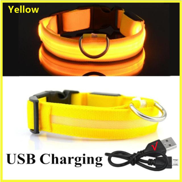 LED leuchtende Hundehalsbänder, wiederaufladbar, wasserdicht, leuchtendes Halsband, verstellbares Hunde-Nachtlicht-Halsband, Haustier-Hunde-Sicherheitshalskette XS von Joom DACH