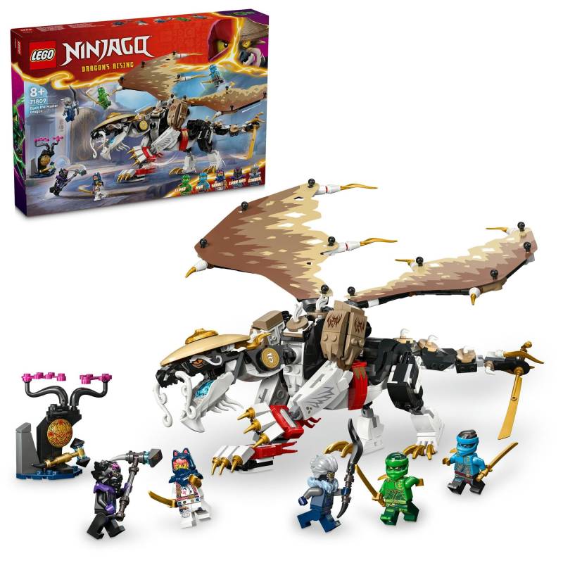 LEGO Ninjago Meister Drache Igor Spielzeug Geschenk Geburtstagsblock Weihnachten Jungen Mädchen Kinder 8 Jahre 9 Jahre 10 Jahre Grundschule von Joom DACH