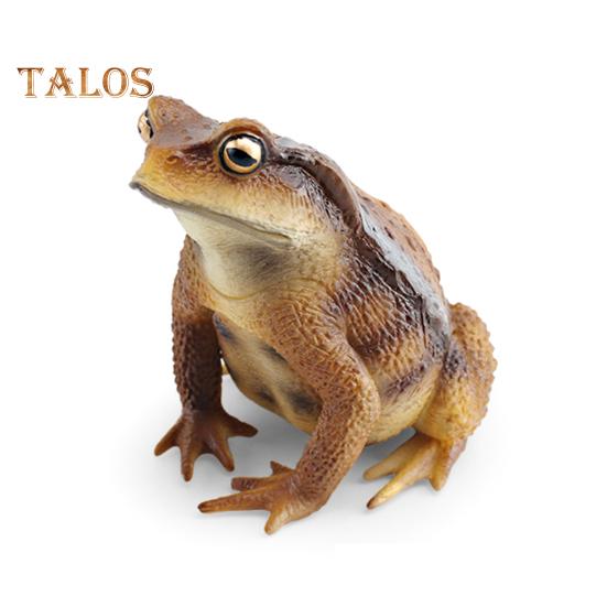 Laubfrosch Figurine Realistische Kröte Statue Skulptur Ornament Dekoration Kinder Pädagogisches Simulation Wildtier Modell Spielzeug Kleinkinder Jungen Mädchen Geschenk C von Joom DACH