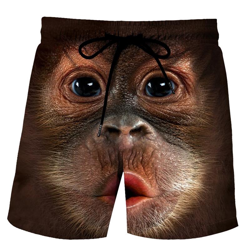 Lustige Strandshorts mit Schweine-Grafik für Männer, 3D-Druck, Enten-Boardshorts, Sport-Badehose, Badeanzug für Männer, coole Eis-Shorts 3XL von Joom DACH