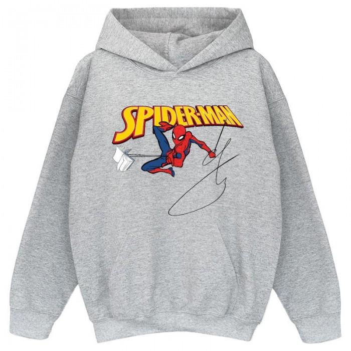 Marvel Boys Spider-Man mit einem Buch-Kapuzenpullover 12-13 grau von Joom DACH