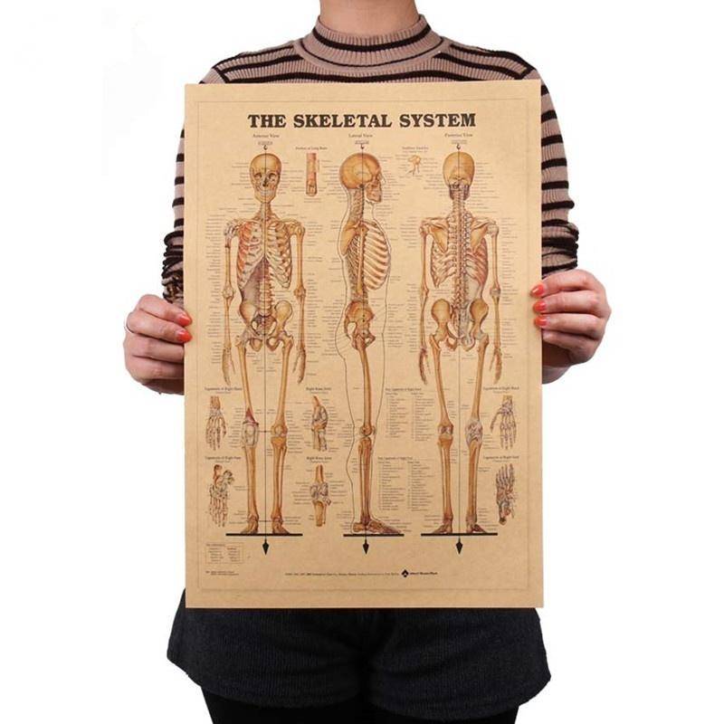 Menschliche Gemälde, Körperfunktionsstrukturdiagramm, Retro-Stil, Kraftpapier-Poster beige von Joom DACH