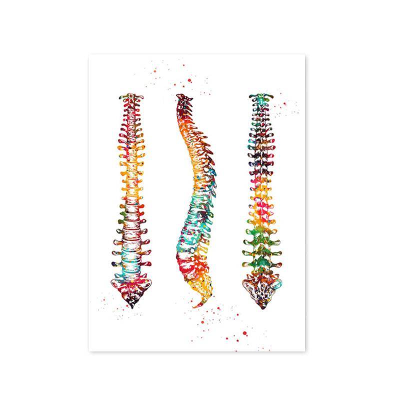 Menschliche Struktur Anatomie Muskeln System Leinwand Gemälde Herz Lunge und Knochen Poster Drucke Medizinische Enthusiasten Wand Kunst Geschenk 50x70cm No Framed von Joom DACH