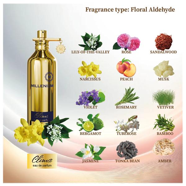 Millenium CLIMA Eau de Parfum für Frauen 100 ml. 100 ml. von Joom DACH