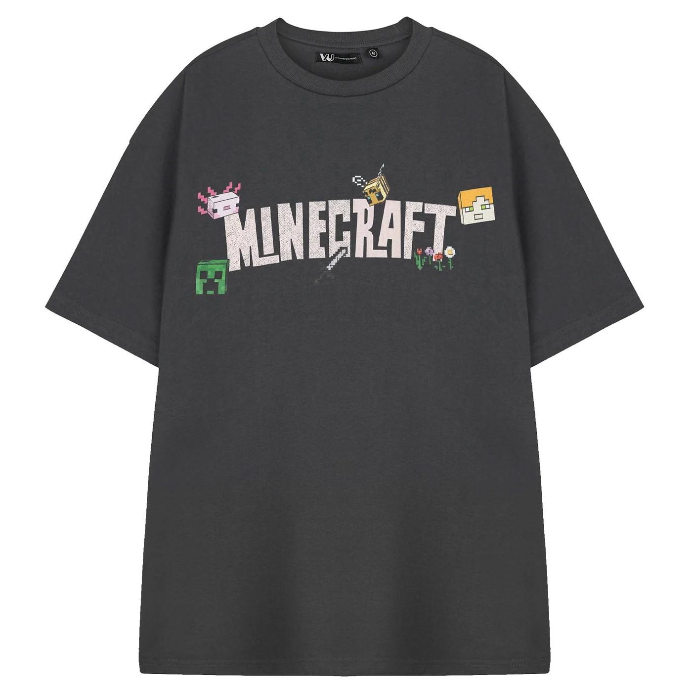 Minecraft Damen/Damen Logo Kurzarm-T-Shirt M grau von Joom DACH