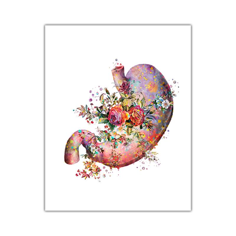 Moderne Dekoration Leinwand Malerei Anatomie Medizinische Blumen Organe Herz Lunge Poster Und Drucke Wand Bilder Für Ärzte Büro 30x40cm No Framed von Joom DACH