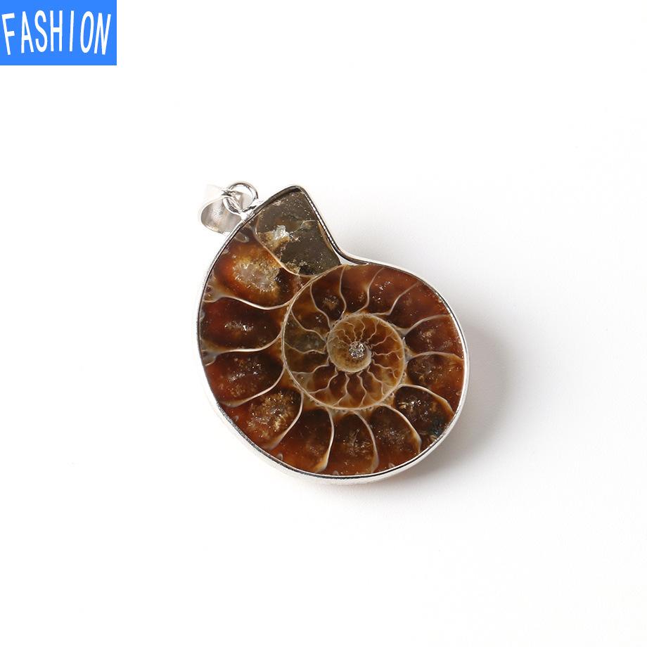 Natürliche Muschel-Fossilien-Muschel-Anhänger, Meeresmuschel-Tier-Halskette, häufige fossile Materialien für Männer und Frauen pendant von Joom DACH