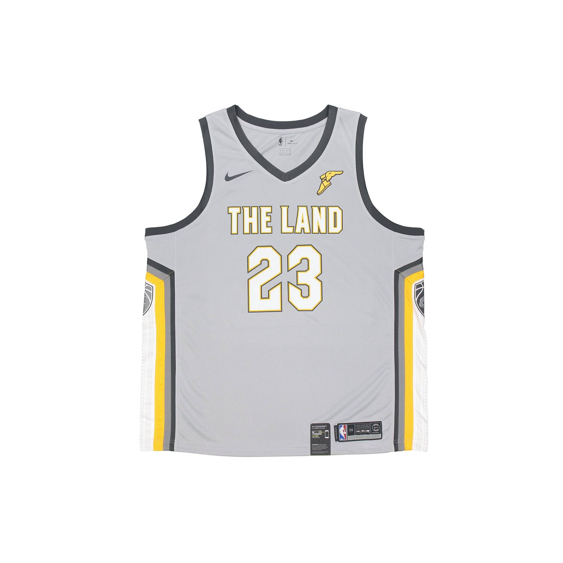 Nike NBA Swingman Trikot City Edition - Cavaliers LeBron James #23 Herren Trikot Grau 912087-007 M von Joom DACH