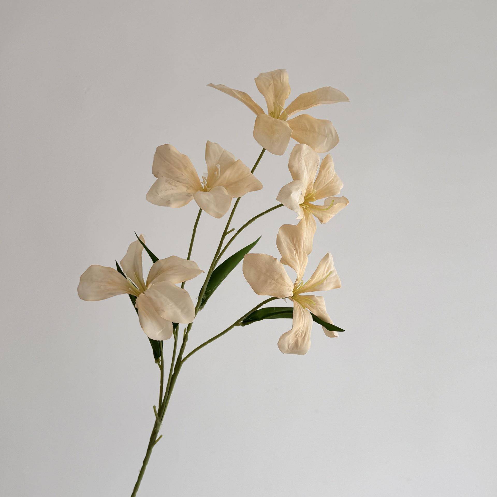 Ölgemälde Wind Flammenorchidee Simulationsblume Kunstblume Wohnungseinrichtung Wohnzimmer Ornament Hochzeitssaal Garten Set Schaufensterdekoration champagner von Joom DACH