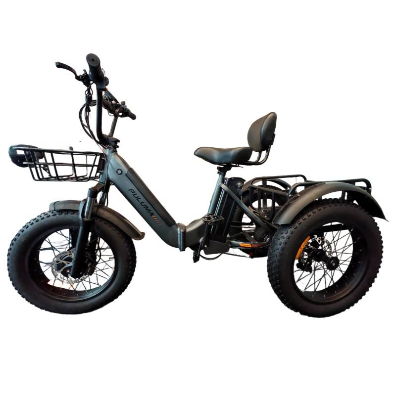 PULUMA SL1001 Elektrisches Dreirad mit 500W Dual-Antriebsmotor 48V27AH Doppelbatterie 20 Zoll Fat Tires Elektrisches Lastendreirad mit Korb für Erwachsene von Joom DACH