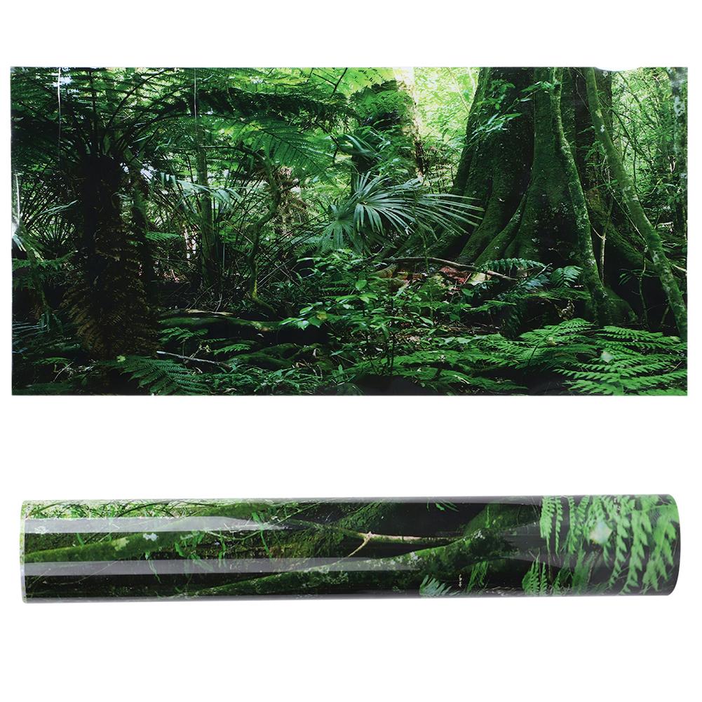 PVC Reptilienbox Regenwald Hintergrund Poster Fischtank Wandbild Malerei Dekoration Selbst von Joom DACH