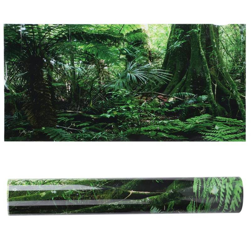 PVC Reptilienbox Regenwald Hintergrund Poster Fischtank Wandbild Malerei Dekoration Selbst von Joom DACH