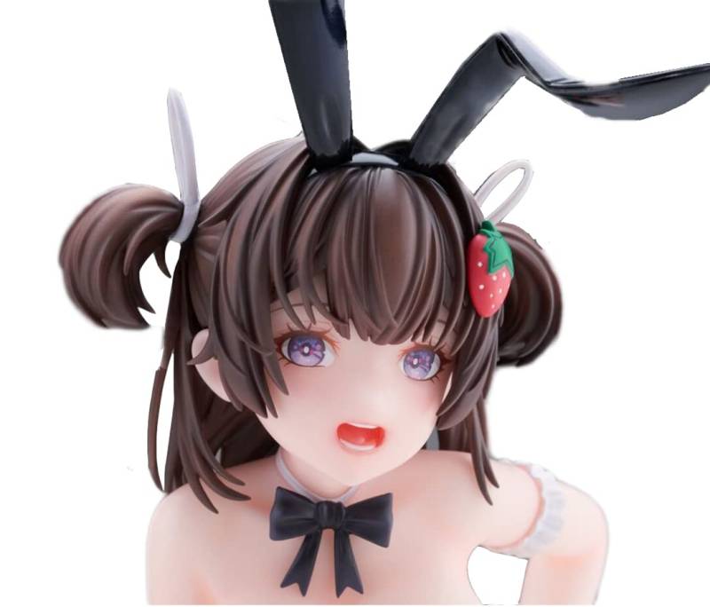 PartyLook Akiko Miyama Bunny Girl Deluxe Edition Scale PVC ABS Bemalt Fertigfigur Ver. 1/7 und von Joom DACH