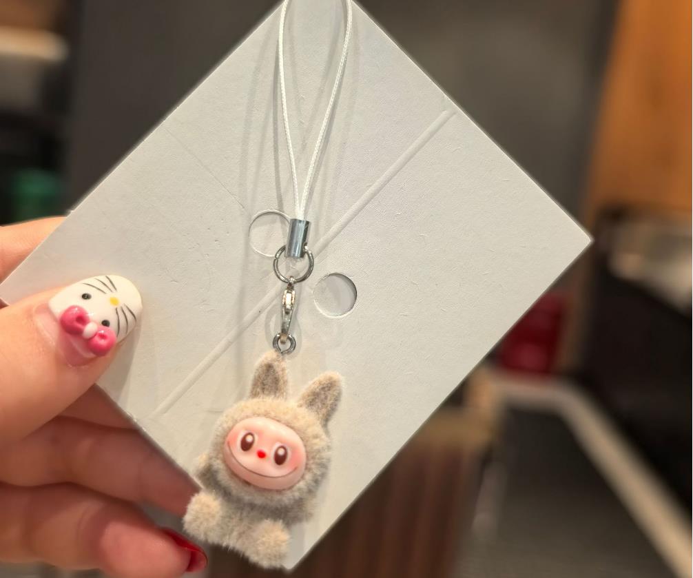 Plüschtier Schlüsselanhänger Anhänger Kleines Plüschtier Taschenanhänger grau von Joom DACH